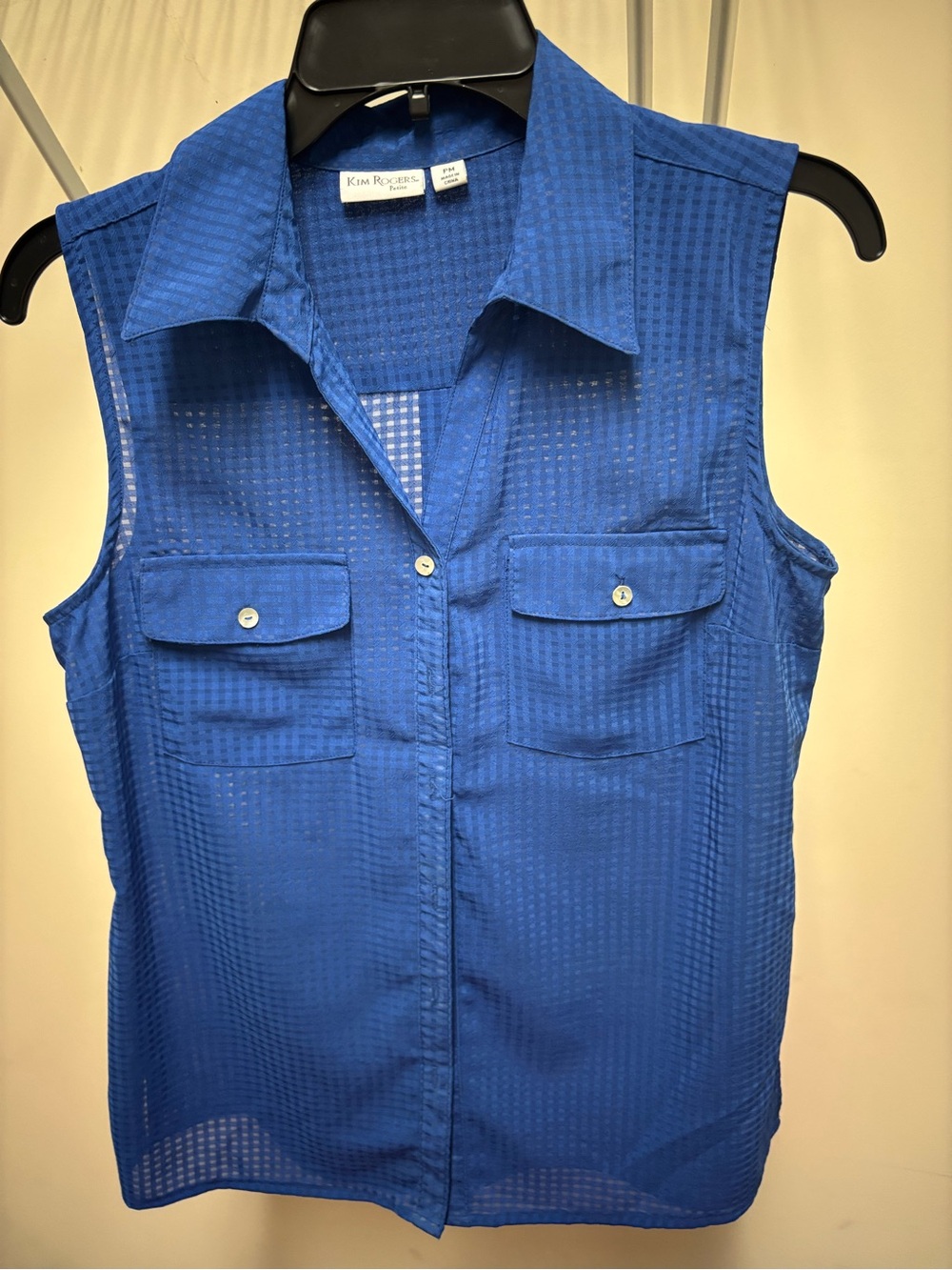 Kim Rogers Sleeveless Button-Front Blouse in Blue